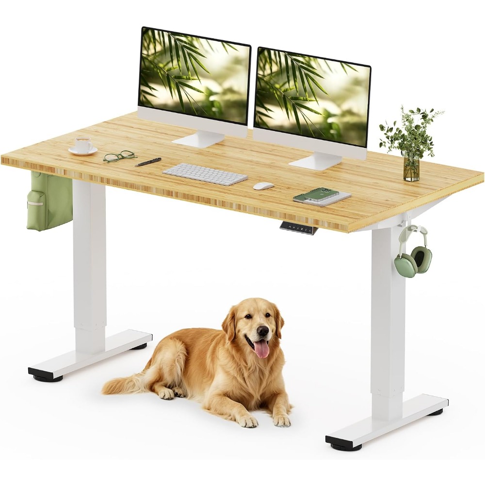Desk Setup In Office - FLEXISPOT 55