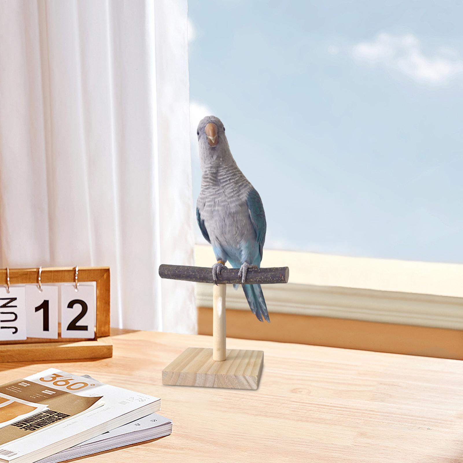 Naturholz Papageien-Sitzstange – Desk Setup Wood Bewertung und Preis
